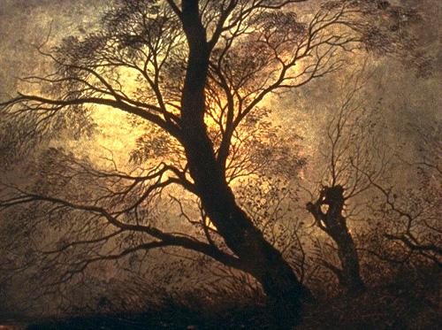 Caspar David Friedrich Trees in the moonlight oil painting picture